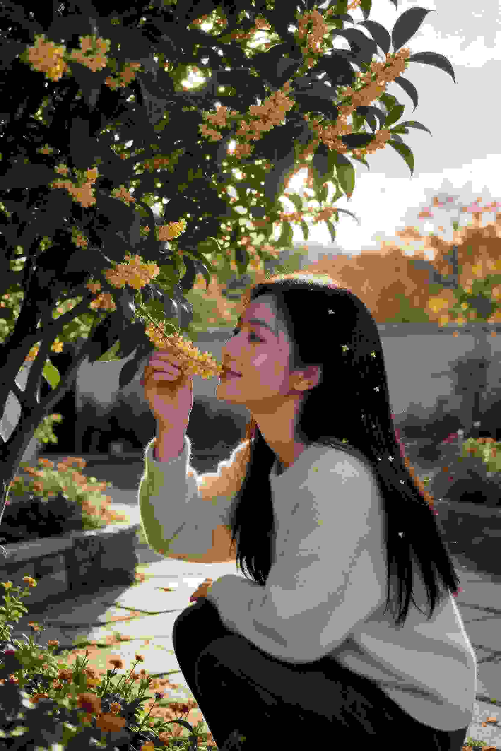 古娘传